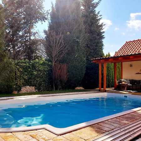 Canadian Style House With 3D Effect Pool Vinosady 外观 照片