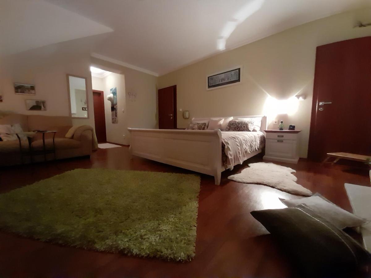 Canadian Style House With 3D Effect Pool Vinosady 外观 照片
